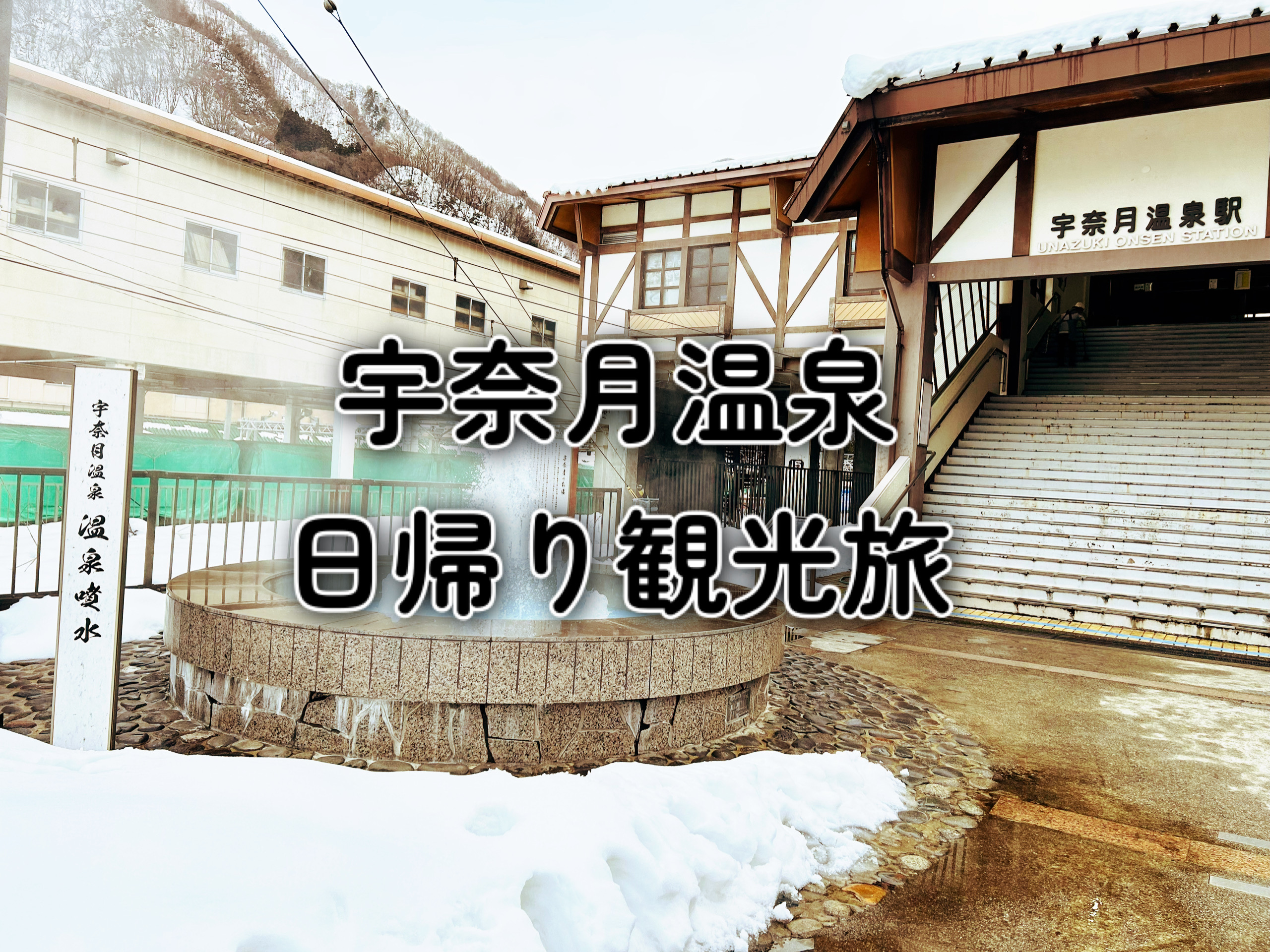 みなみ@プロフ確認お願いします様 ホタ 【保証書付】 dgipr.kpdata.gov.pk